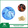 Bacillus clausii trong chăn nuôi thú y