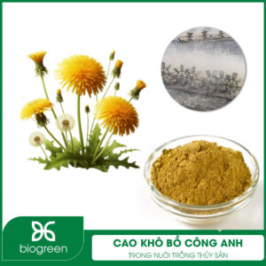 Cao khô bồ công anh trong Nuôi trồng thủy sản