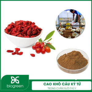 Cao khô câu kỷ tử trong nuôi trồng thủy sản