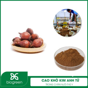 Cao khô kim anh tử trong chăn nuôi thú y