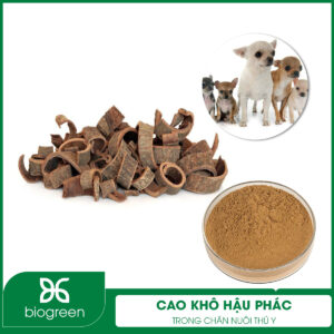 Cao khô hậu phác trong chăn nuôi thú y