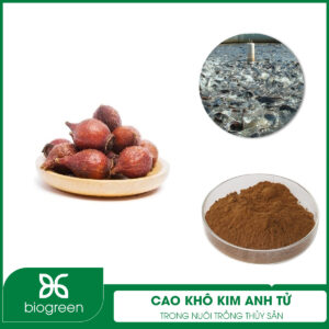 Cao khô kim anh tử trong nuôi trồng thủy sản