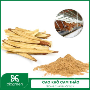 Cao khô cam thảo trong chăn nuôi thú y