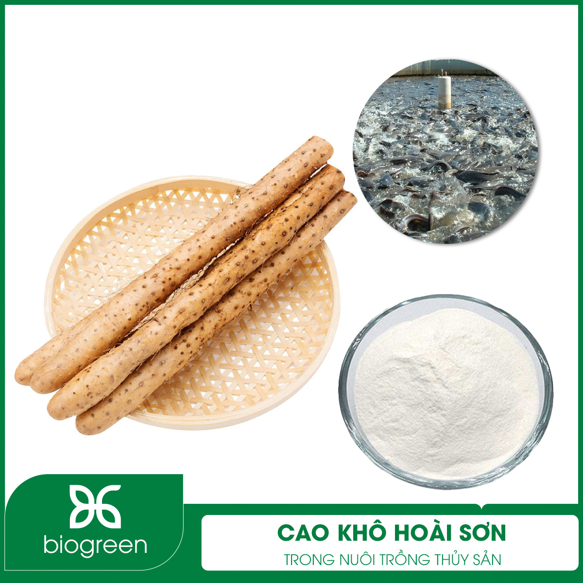 Cao khô hoài hơn trong nuôi trồng thủy sản