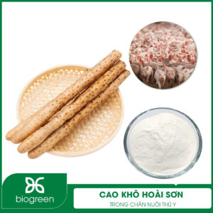 Cao khô hoài sơn trong chăn nuôi thú y