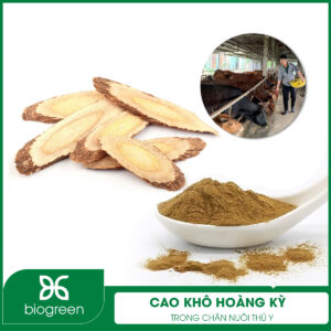 Cao khô hoàng kỳ trong chăn nuôi thú y