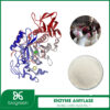 Enzyme Amylase trong chăn nuôi thú y
