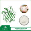 Enzyme Cellulase trong chăn nuôi thú y