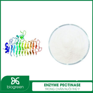 Enzyme Pectinase trong chăn nuôi thú y