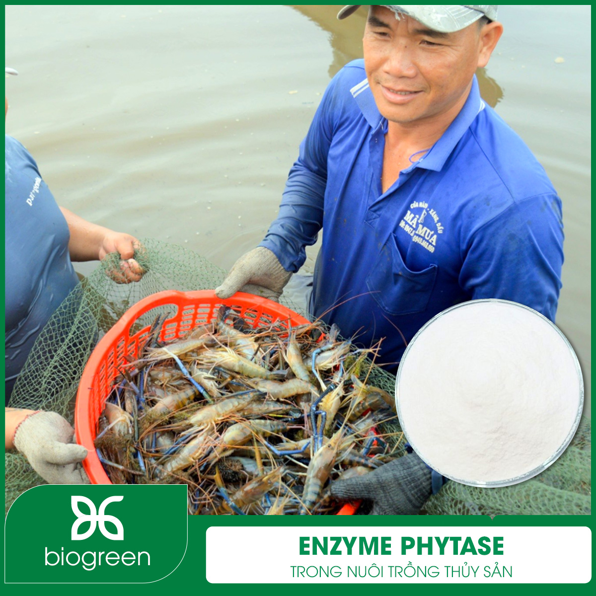 Enzyme Phytase trong Nuôi trồng thủy sản