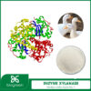 Enzyme Xylanase trong chăn nuôi thú y
