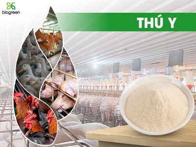 THÚ Y