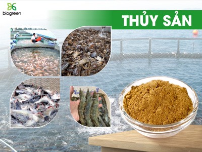 THỦY SẢN