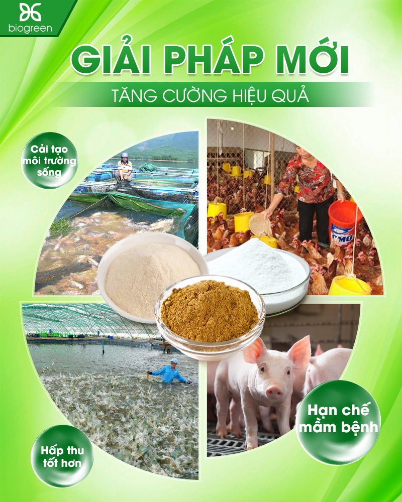 nguyên liệu thú y thủy sản
