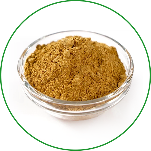 cao dược liệu