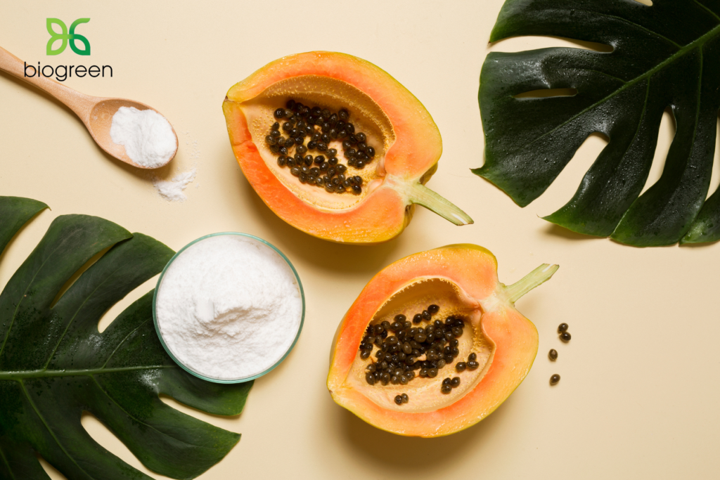 Enzyme papain một trong những sản phẩm chủ lực của Biogreen