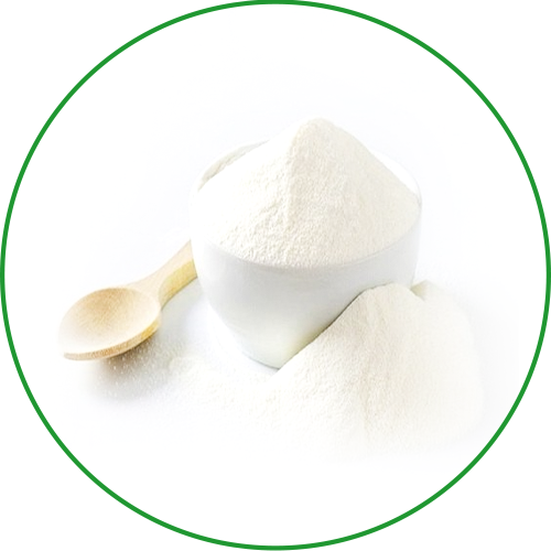 enzyme