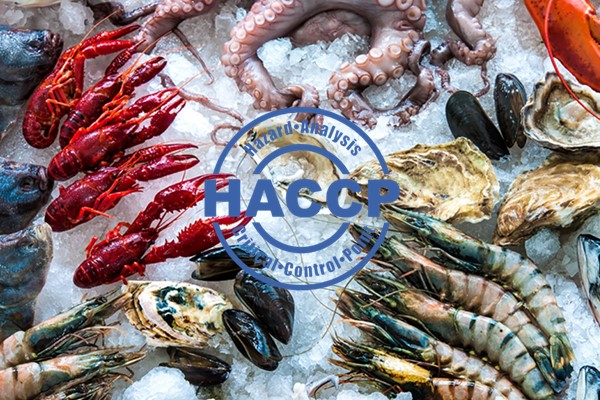 HACCP Thủy Sản: Giải Pháp Quản Lý An Toàn Thực Phẩm Cho Ngành Thủy Sản