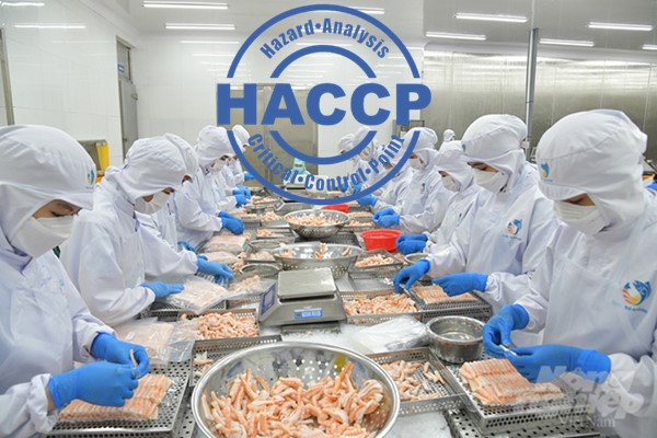 HACCP Thủy Sản: Giải Pháp Quản Lý An Toàn Thực Phẩm Cho Ngành Thủy Sản 2