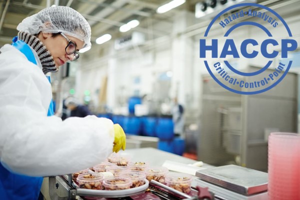 HACCP Thủy Sản: Giải Pháp Quản Lý An Toàn Thực Phẩm Cho Ngành Thủy Sản 3