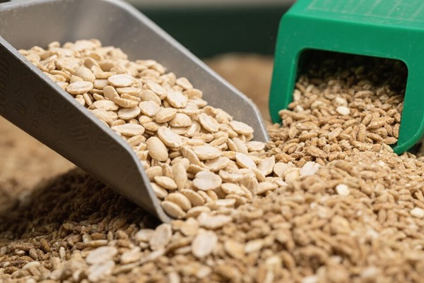 Hàm lượng protein trong thức ăn chăn nuôi: Chìa khóa nâng cao năng suất và chất lượng