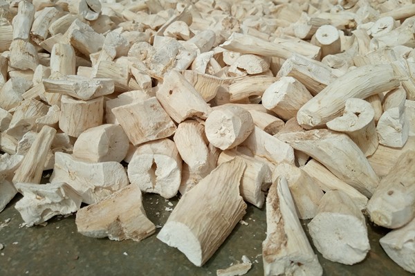 Sử dụng bã sắn làm thức ăn chăn nuôi có tốt không? 2