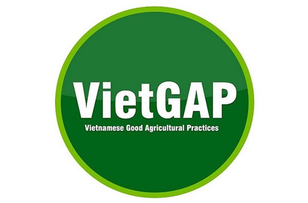 VietGAP trong chăn nuôi: Nâng tầm chất lượng nông sản