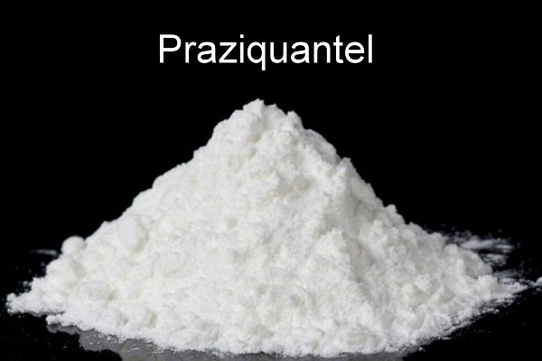 Praziquantel Thủy Sản - Kiểm Soát Ký Sinh Trùng, Tăng Năng Suất Nuôi Trồng 2