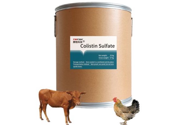 Thuốc colistin trong thú y: Công dụng và lưu ý khi sử dụng