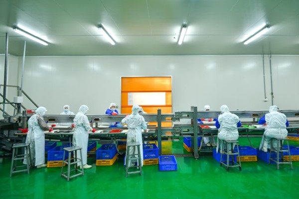 Tổng hợp các nhà máy chế biến thủy sản lớn tại Việt Nam