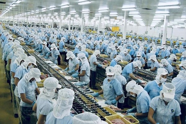 Tổng hợp các nhà máy chế biến thủy sản lớn tại Việt Nam 3