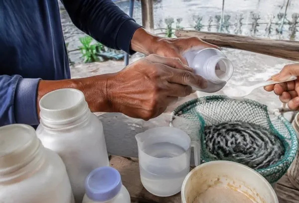 Phối hợp kháng sinh trong thủy sản như thế nào hiệu quả và an toàn? 3