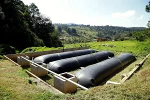 Hầm biogas trong chăn nuôi cấu tạo và sử dụng như thế nào?