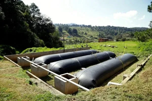 Hầm biogas trong chăn nuôi cấu tạo và sử dụng như thế nào?